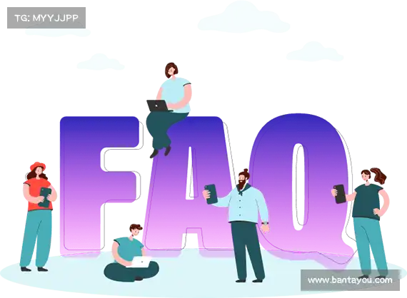 用户指南